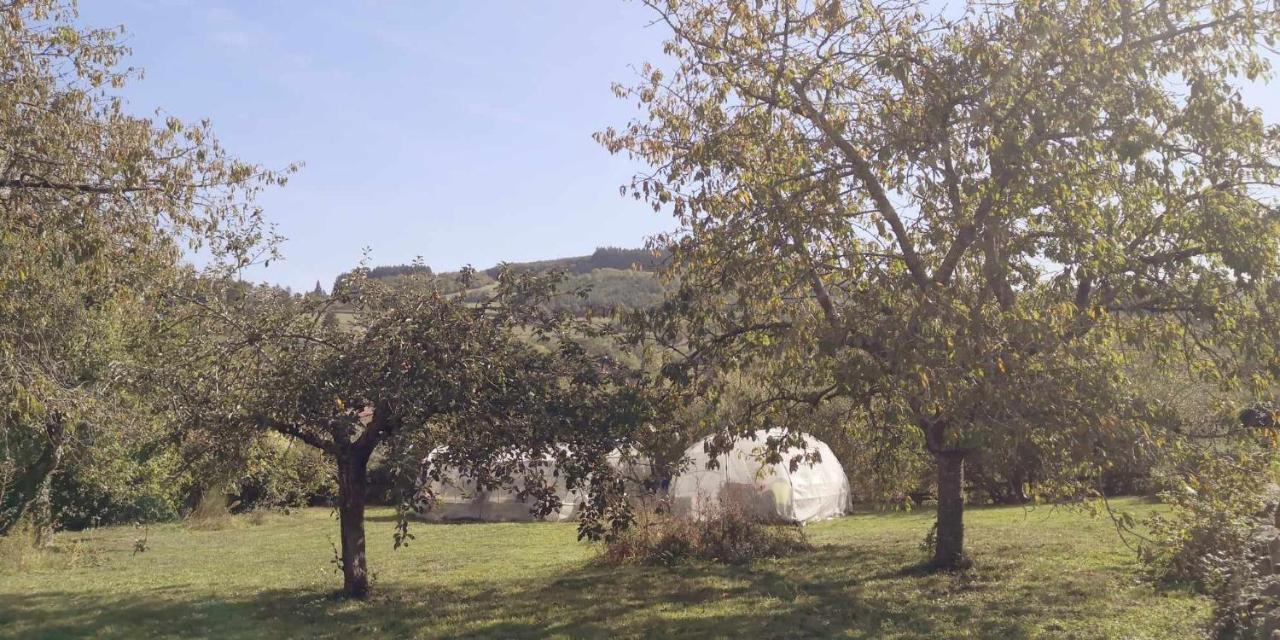 Petit Gite Ou Chambre D'Hotes 2/4 Personnes Buffieres Exterior foto